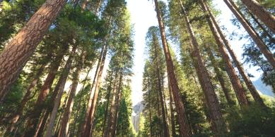 Source: Unsplash, Credit: Chelsea Bock